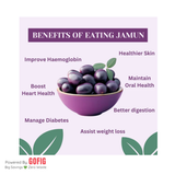 Tribalveda Jamun Strips - 10 g (Pack Of 24) (240 g)