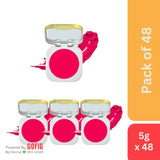 The Ayurveda Co. Hot Pink Pie Lip, Cheek & Eye Tint (5 gm) - Pack of 48